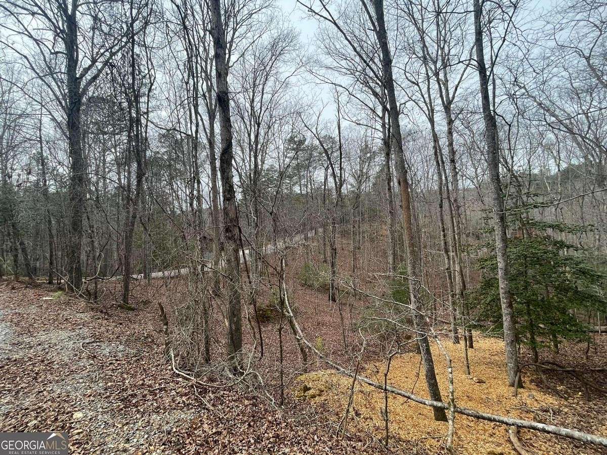 0.52 Acres of Residential Land for Sale in Ellijay, Georgia