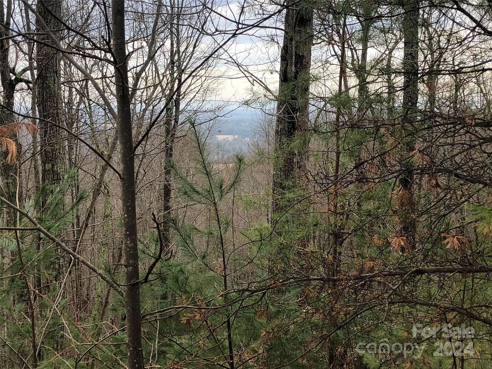 10 Acres of Recreational Land for Sale in McGrady, North Carolina