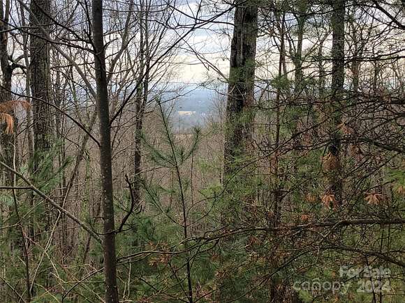 10.012 Acres of Recreational Land for Sale in McGrady, North Carolina