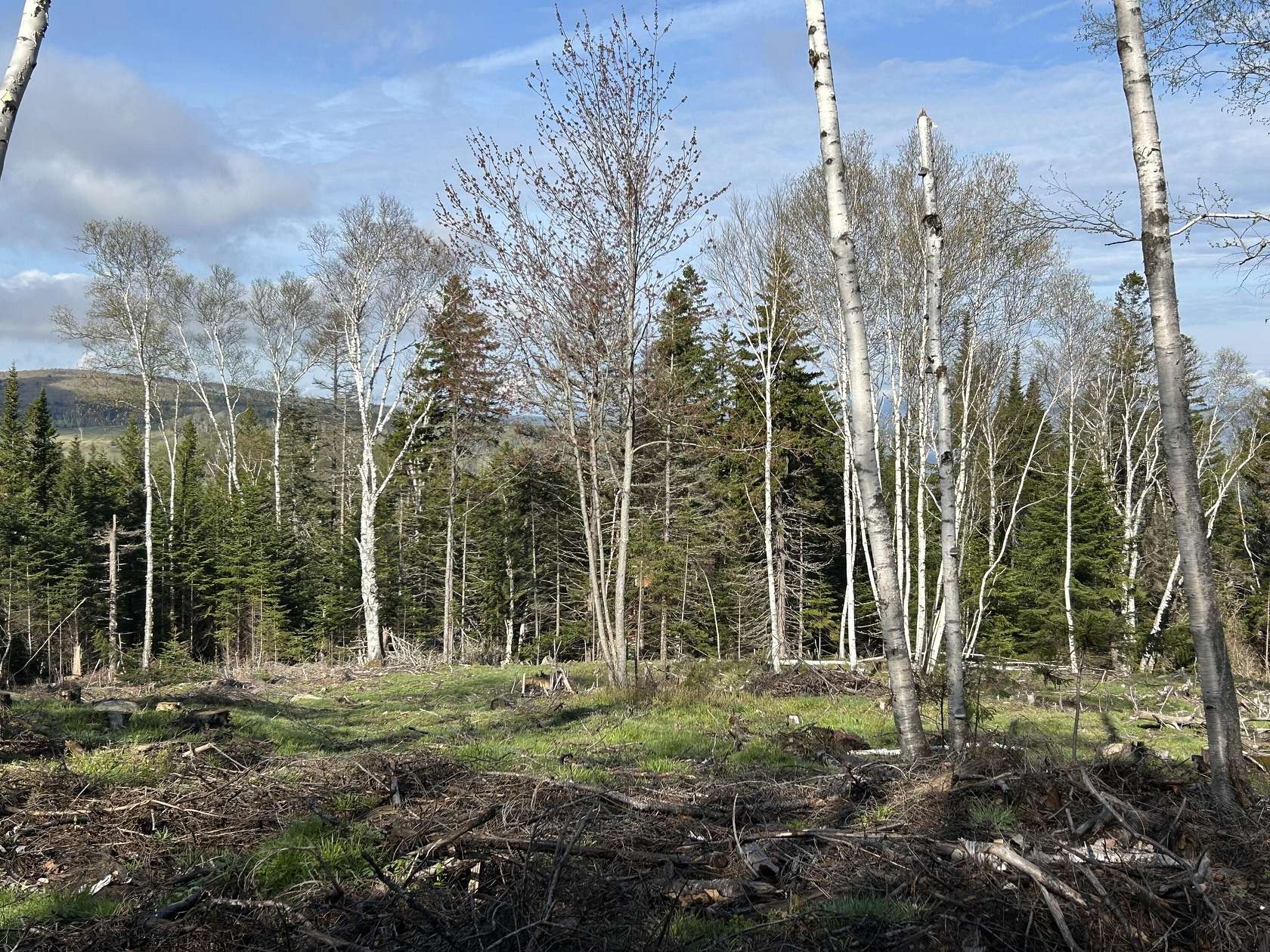 1.4 Acres of Residential Land for Sale in Sandy River Plantation, Maine