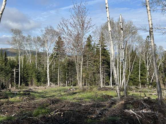 1.4 Acres of Residential Land for Sale in Sandy River Plantation, Maine