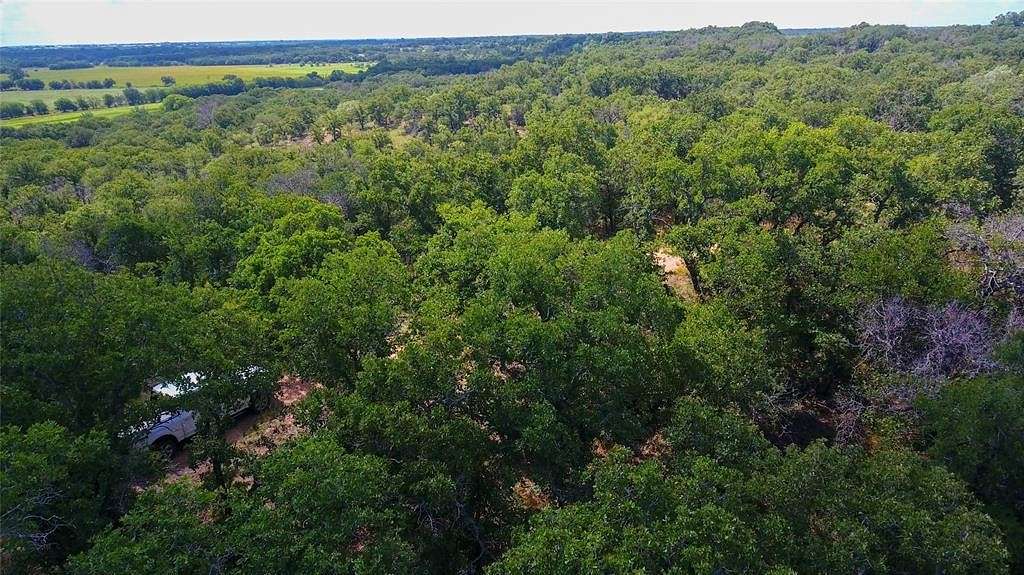 52.11 Acres of Recreational Land for Sale in Desdemona, Texas