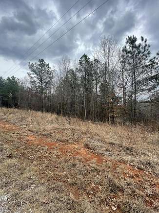 4 Acres of Residential Land for Sale in Tiplersville, Mississippi