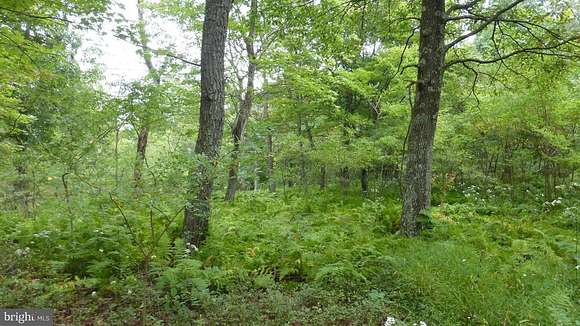 11 Acres of Recreational Land for Sale in Moorefield, West Virginia