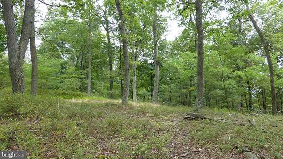 11 Acres of Recreational Land for Sale in Moorefield, West Virginia ...