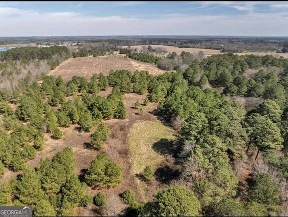 30 Acres of Land for Sale in Dexter, Georgia