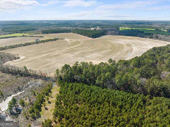 166 Acres of Agricultural Land for Sale in Statesboro, Georgia