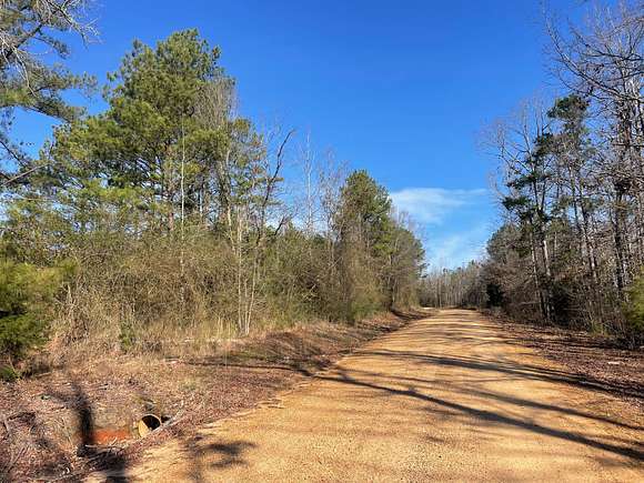 19 Acres of Recreational Land & Farm for Sale in Ralph, Alabama