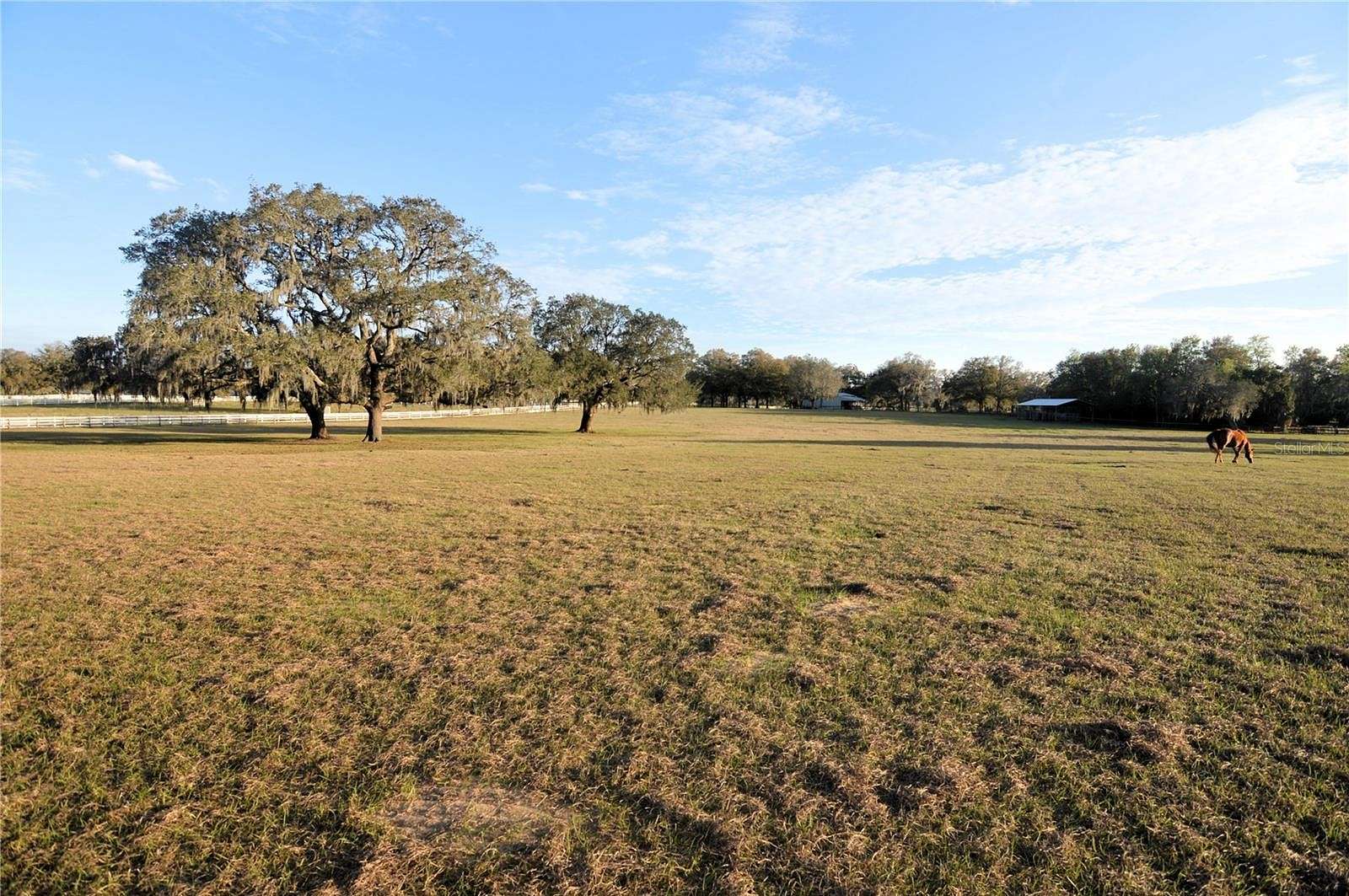 10 Acres of Agricultural Land for Sale in Dade City, Florida