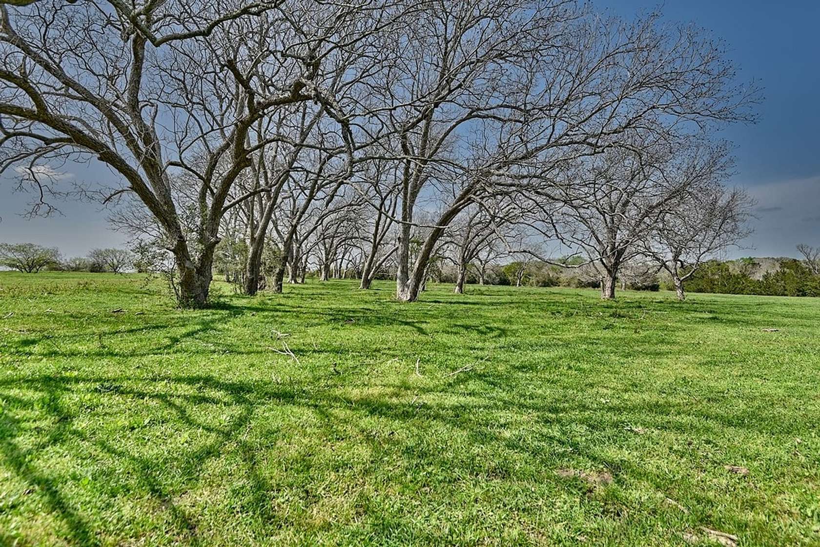 40 Acres of Recreational Land for Sale in Weimar, Texas