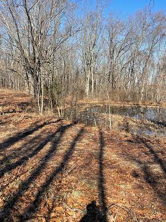 373 Acres of Land for Sale in Ava, Missouri