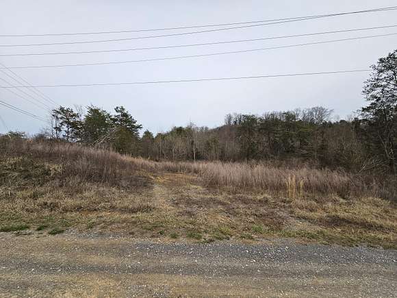 4.4 Acres of Residential Land for Sale in White Pine, Tennessee