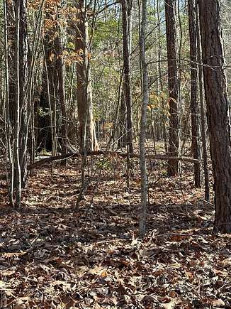 3.4 Acres of Residential Land for Sale in Ebony, Virginia