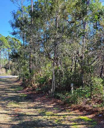 0.98 Acres of Residential Land for Sale in Santa Rosa Beach, Florida