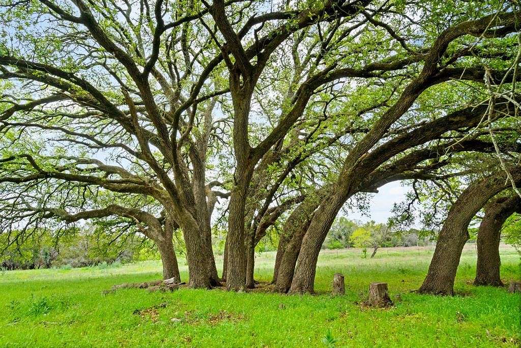 10.8 Acres of Recreational Land & Farm for Sale in Hico, Texas