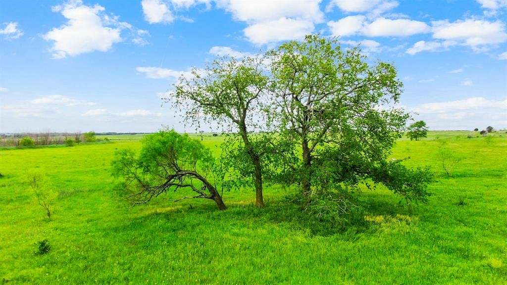 10.1 Acres of Recreational Land & Farm for Sale in Hico, Texas