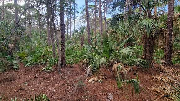 0.43 Acres of Residential Land for Sale in Yankeetown, Florida