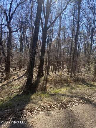 3.5 Acres of Land for Sale in Raymond, Mississippi