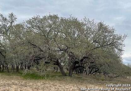 11.8 Acres of Land for Sale in Natalia, Texas