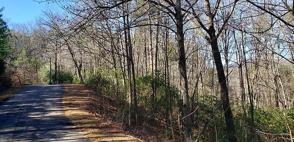 1 Acre of Residential Land for Sale in Helen, Georgia
