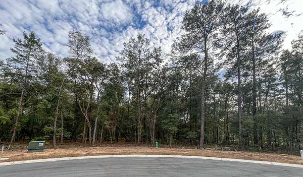 0.62 Acres of Mixed-Use Land for Sale in Niceville, Florida