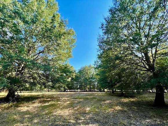 2.6 Acres of Residential Land for Sale in Blossom, Texas