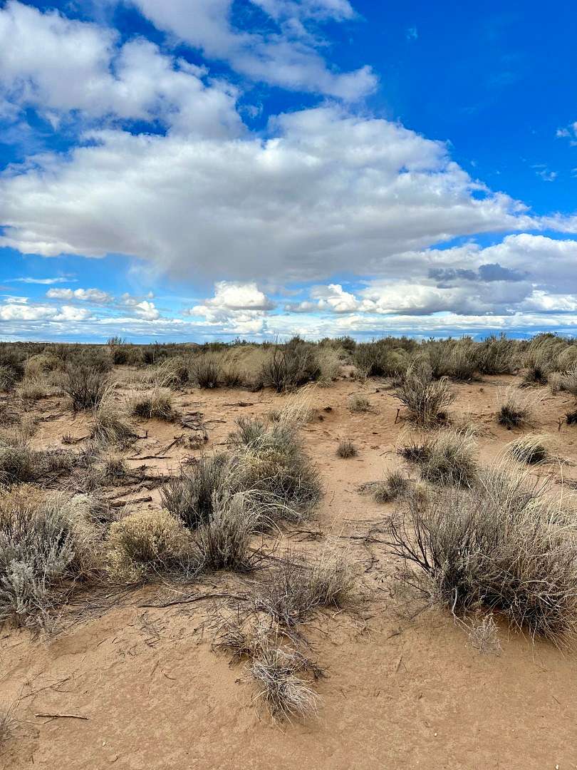 0.26 Acres of Residential Land for Sale in Belen, New Mexico