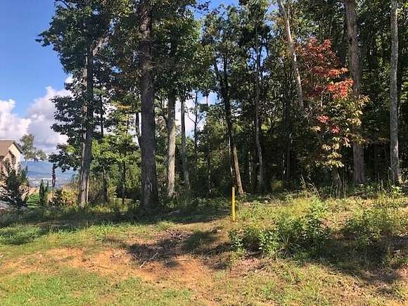 0.27 Acres of Residential Land for Sale in Lookout Mountain, Georgia