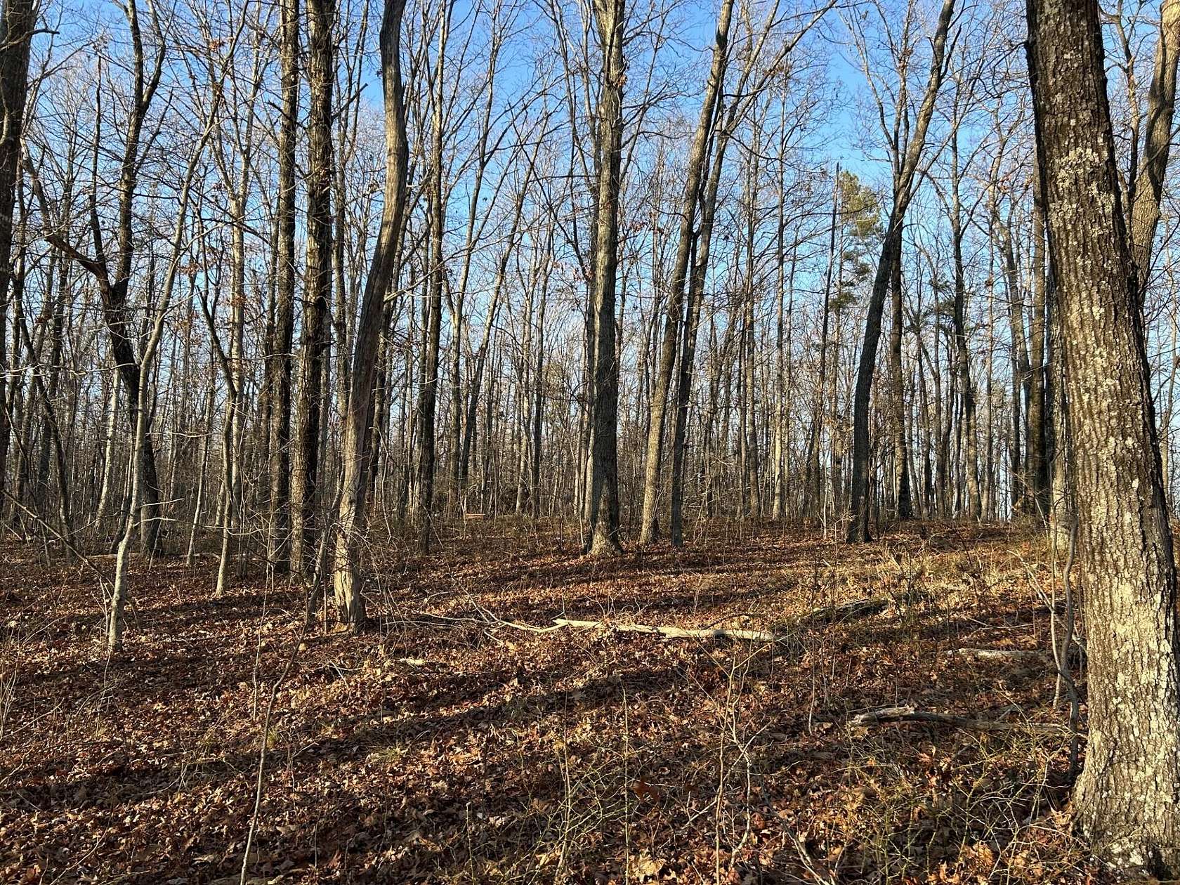 21.7 Acres of Land for Sale in Soddy-Daisy, Tennessee