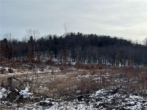 160 Acres of Recreational Land for Sale in Osseo, Wisconsin