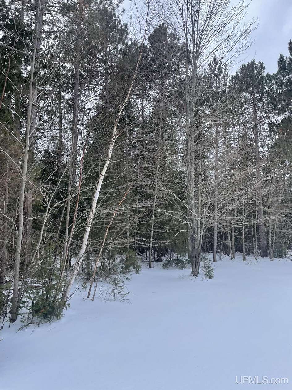 120 Acres of Land for Sale in Marquette, Michigan
