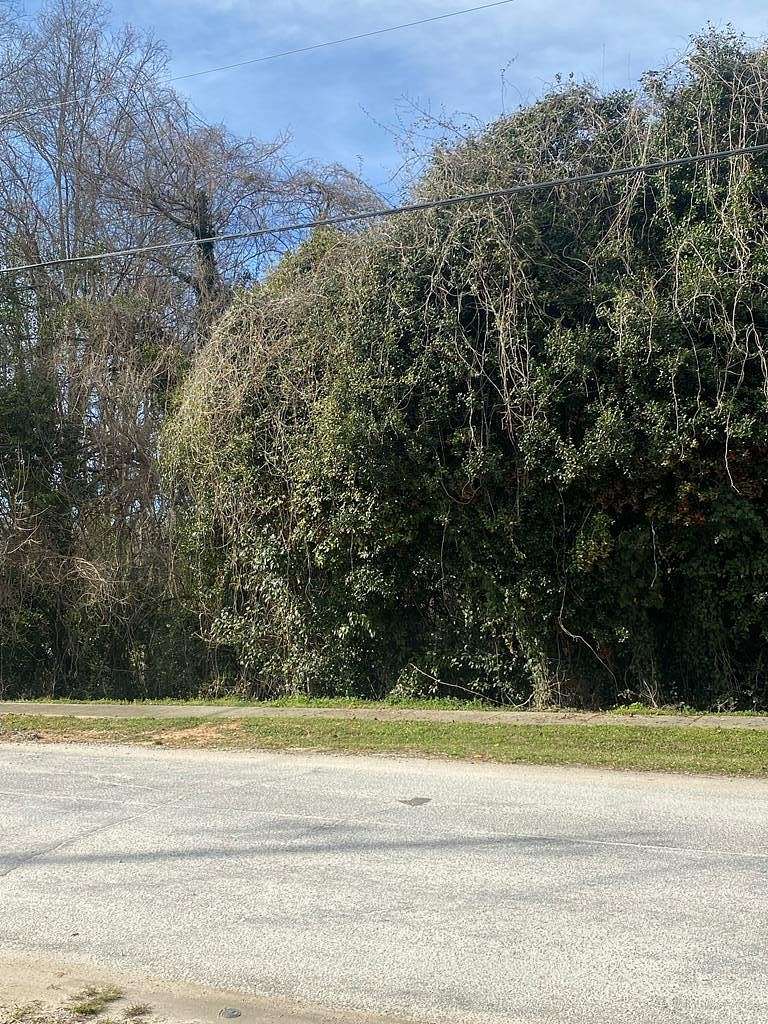 0.33 Acres of Residential Land for Sale in Sparta, Georgia