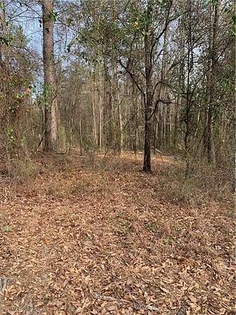 7.19 Acres of Residential Land for Sale in Phenix City, Alabama