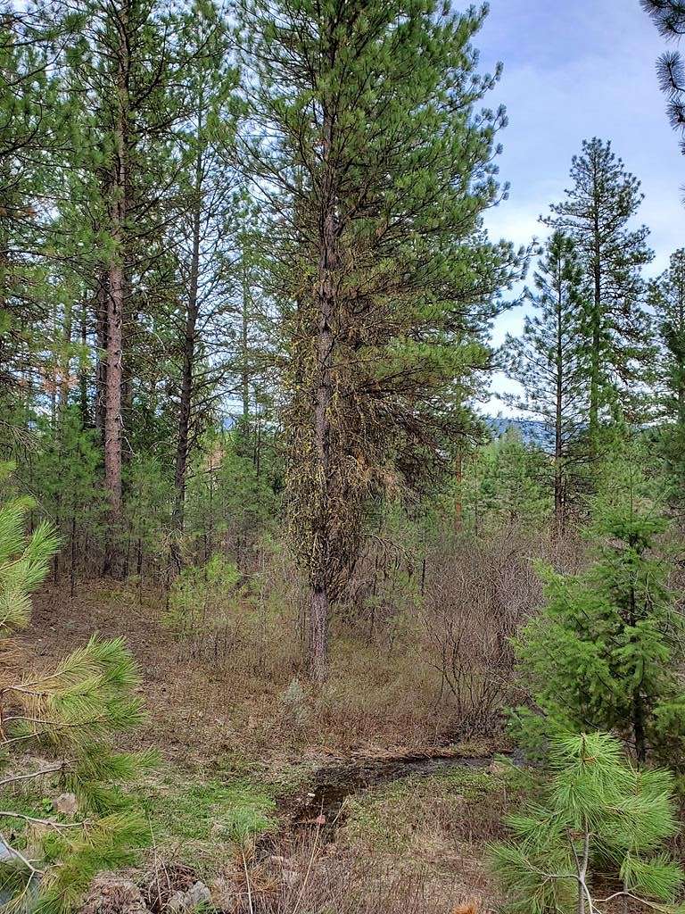 0.32 Acres of Residential Land for Sale in New Meadows, Idaho