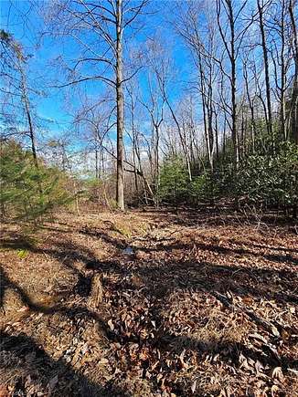 5.1 Acres of Residential Land for Sale in Lowgap, North Carolina