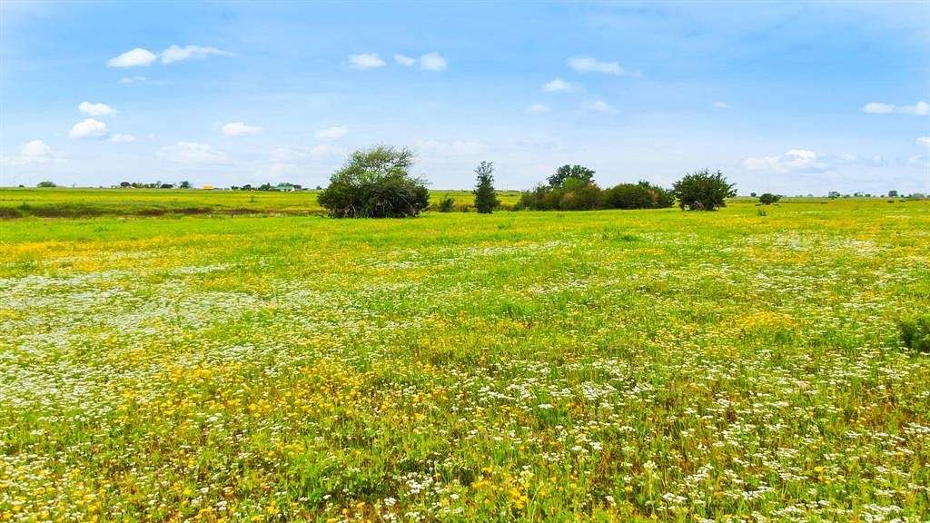 17.3 Acres of Recreational Land & Farm for Sale in Hico, Texas