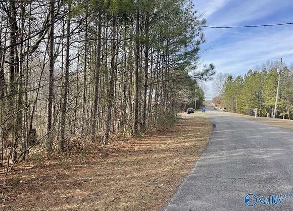 2.4 Acres of Land for Sale in Blountsville, Alabama