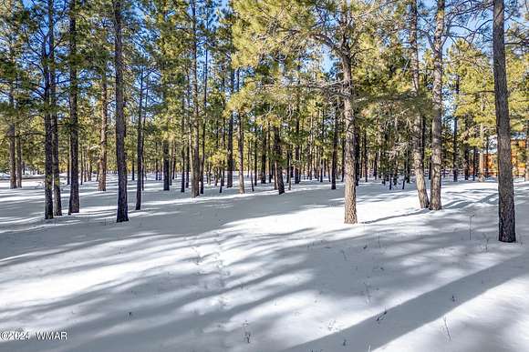 1 Acre of Residential Land for Sale in Greer, Arizona