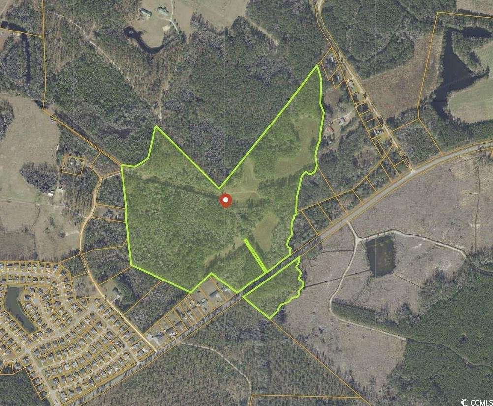 66.2 Acres of Land for Sale in Longs, South Carolina