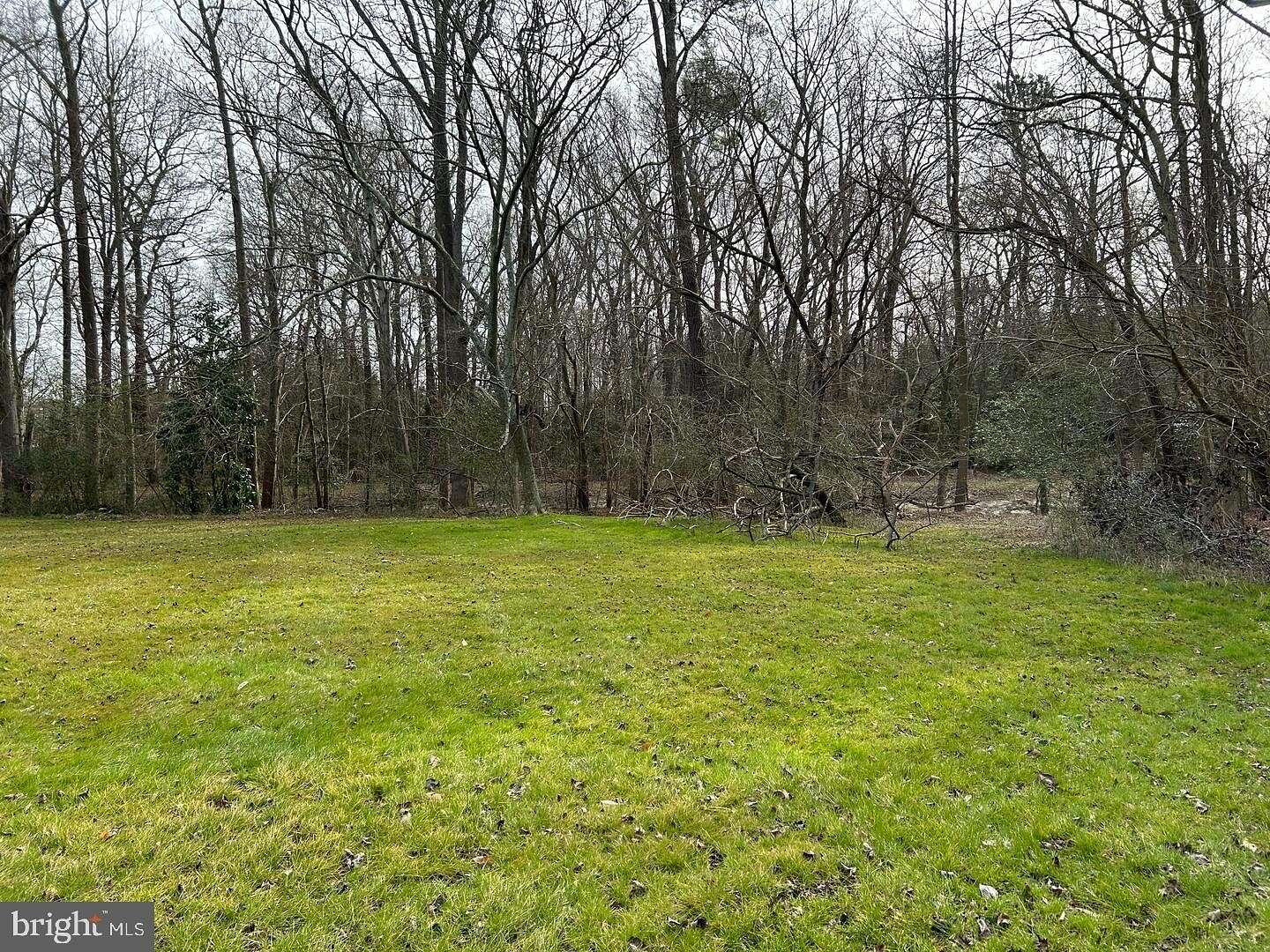 0.32 Acres of Land for Sale in Dagsboro, Delaware