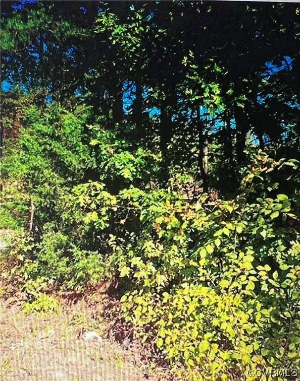 16 Acres of Land for Sale in Ruther Glen, Virginia