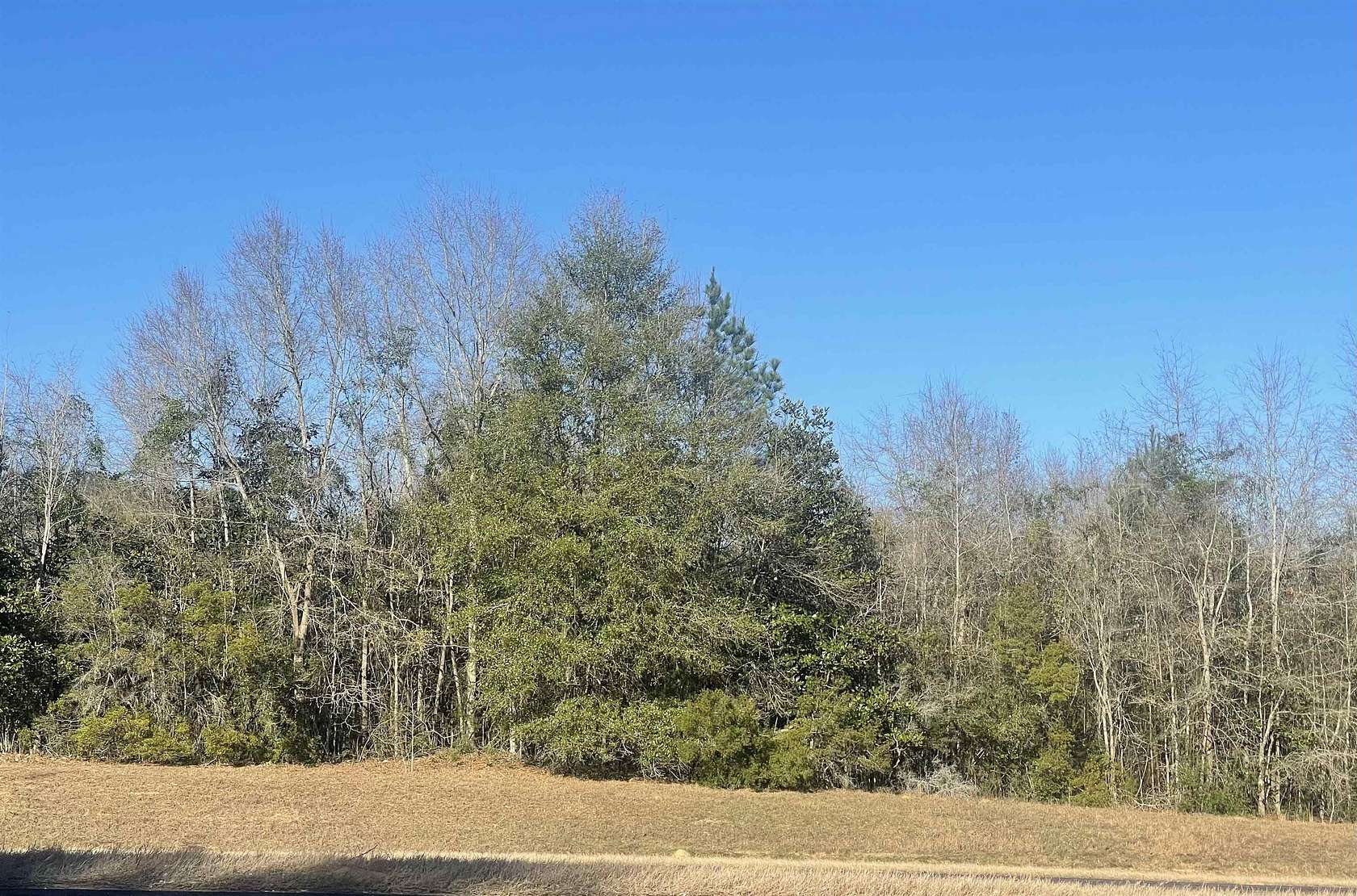21 Acres of Commercial Land for Sale in Andalusia, Alabama