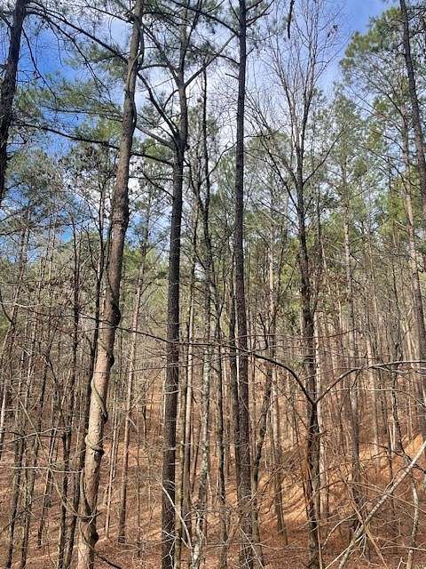 2.7 Acres of Land for Sale in Broken Bow, Oklahoma