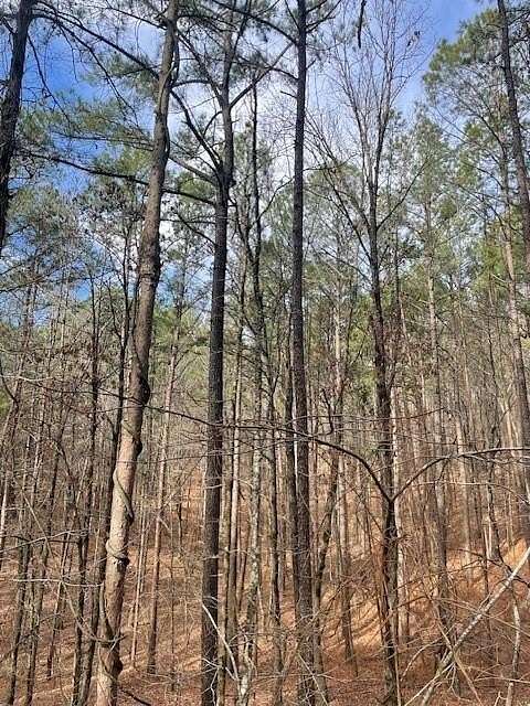 2.68 Acres of Residential Land for Sale in Broken Bow, Oklahoma