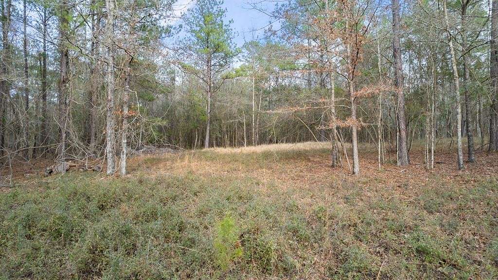 8.3 Acres of Residential Land for Sale in Poplarville, Mississippi