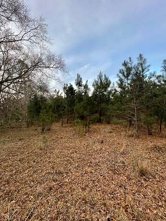 10.4 Acres of Land for Sale in Hahira, Georgia