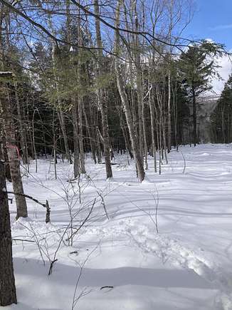 18.6 Acres of Land for Sale in Union, Maine