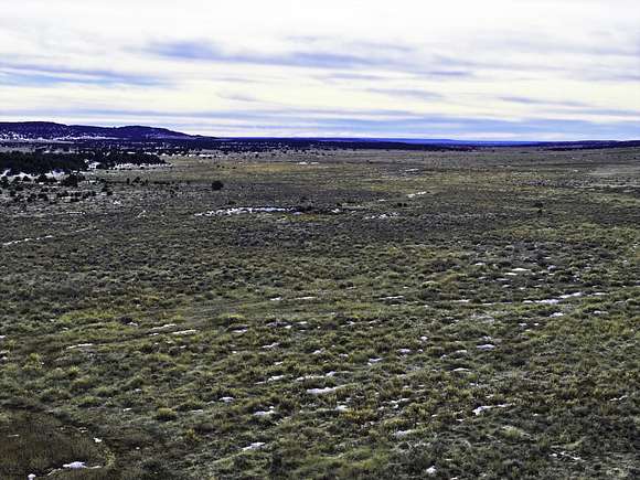218 Acres of Recreational Land & Farm for Sale in Fence Lake, New Mexico