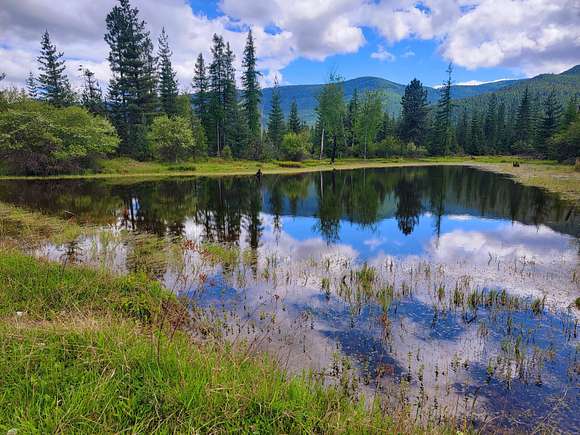 20.46 Acres of Recreational Land for Sale in Trout Creek, Montana