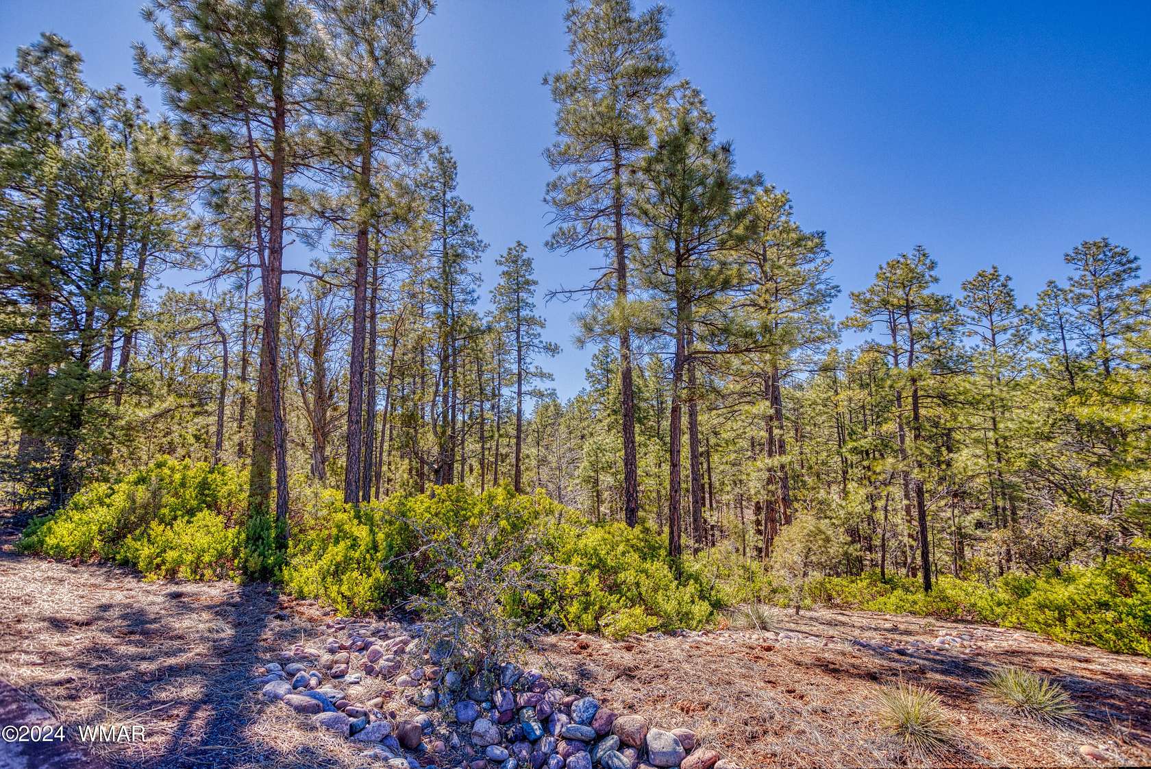 1.9 Acres of Residential Land for Sale in Show Low, Arizona